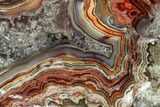 Polished Crazy Lace Agate - Mexico #150528-3
